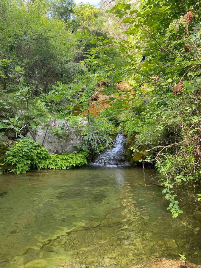 Holiday Home Pavle Rijeka Crnojevića Zewnętrze zdjęcie